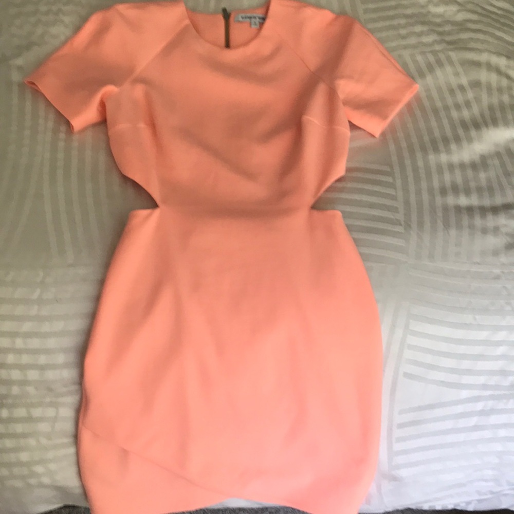 Elizabeth and James cut out dress